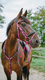 Bridon endurance NORTON - Pop - Image 9