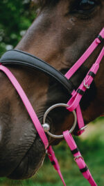 Bridon endurance NORTON - Pop - Image 10