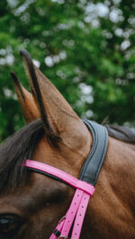 Bridon endurance NORTON - Pop - Image 11