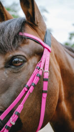 Bridon endurance NORTON - Pop - Image 12