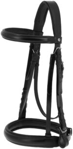 NORTON - Percheron - Bridle and web reins
