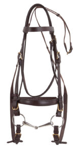 NORTON CLUB Coldblood Bridle - Image 2