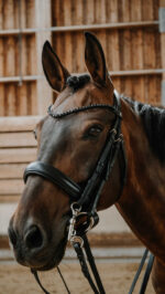 Bride NORTON - Onyx - Image 2