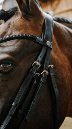 Bride NORTON - Onyx - Image 3