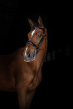 ERIC THOMAS ELITE Kandarenzaum