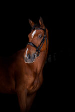 ERIC THOMAS ELITE Kandarenzaum - Image 2