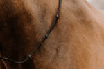 NORTON CLUB - Oily - Nylon reins