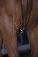 NORTON PRO draw reins made of leather/cord - Image 3