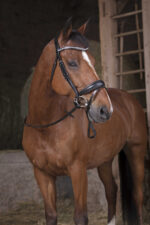 NORTON PRO Reins - Grip -