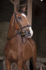 NORTON PRO Reins - Supergrip -