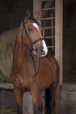 NORTON PRO rubber reins