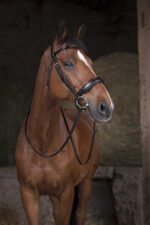 NORTON mesh reins - 16 mm - Image 2