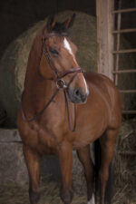 NORTON PRO wide rubber reins - Image 2