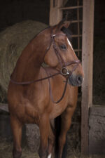 NORTON PRO wide rubber reins - Image 3