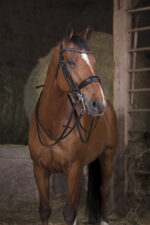 NORTON PRO snaffle reins - 13 mm