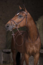 NORTON PRO Reins - Hunter - 16 mm - Image 3