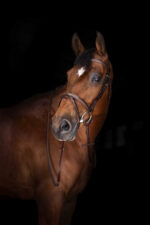 ERIC THOMAS ELITE reins “Hunter” 16 mm