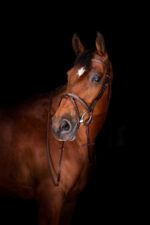 ERIC THOMAS ELITE reins “Hunter” 16 mm - Image 2