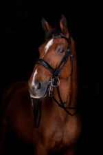 ERIC THOMAS ELITE leather curb reins 13 mm - Image 2