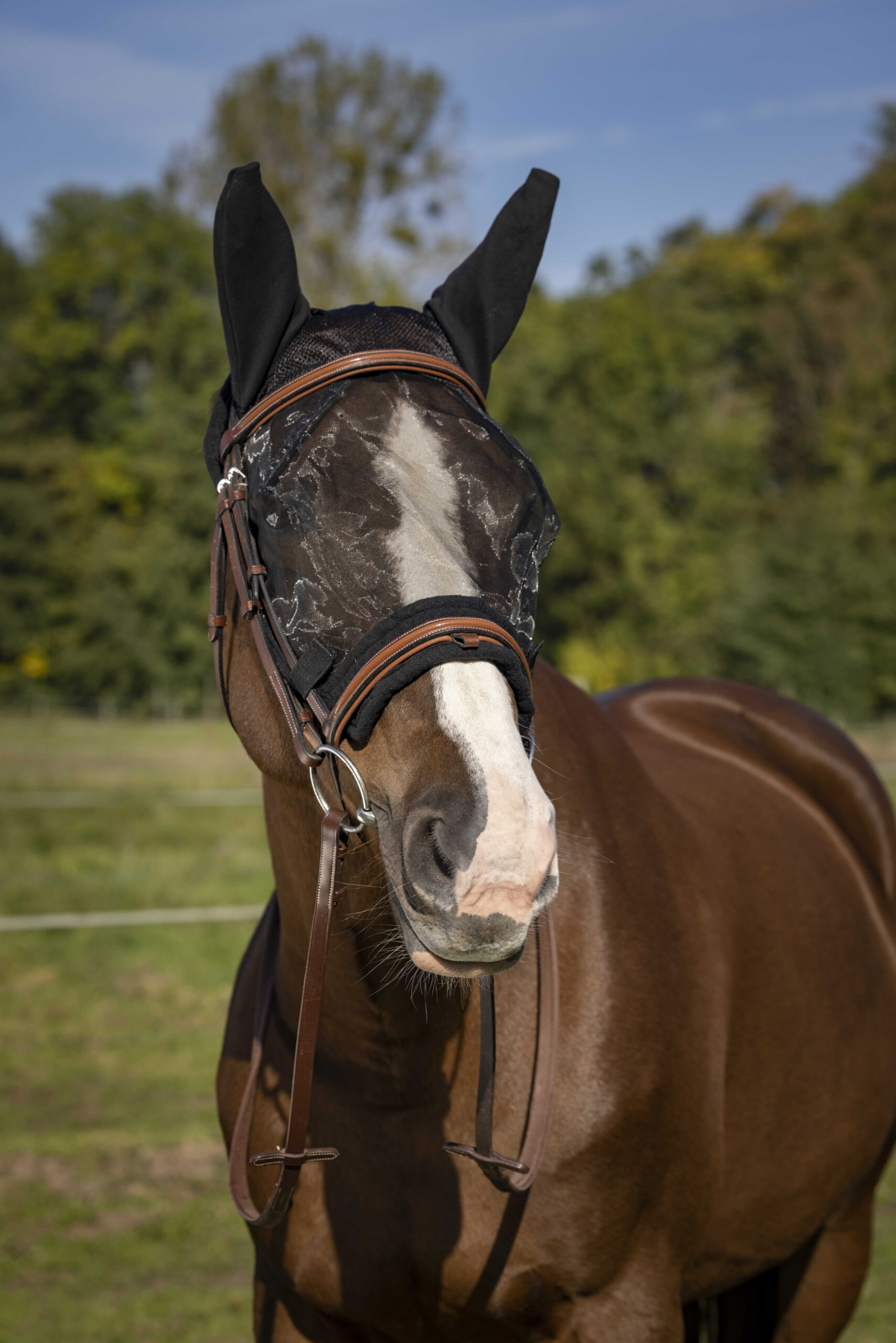 EQUITHÈME „Training“ Antifliegenmaske