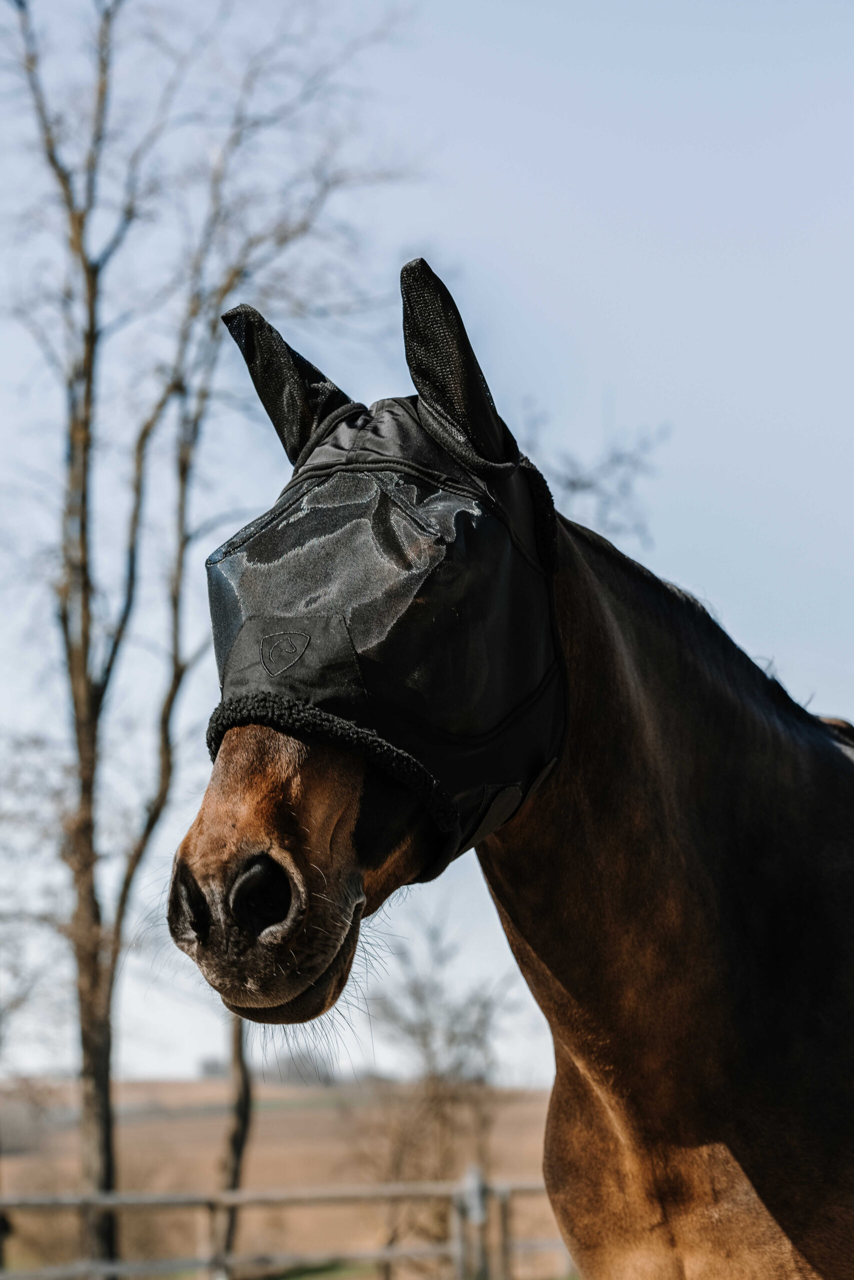 EQUITHÈME - Teddy - Fly/UV Mask