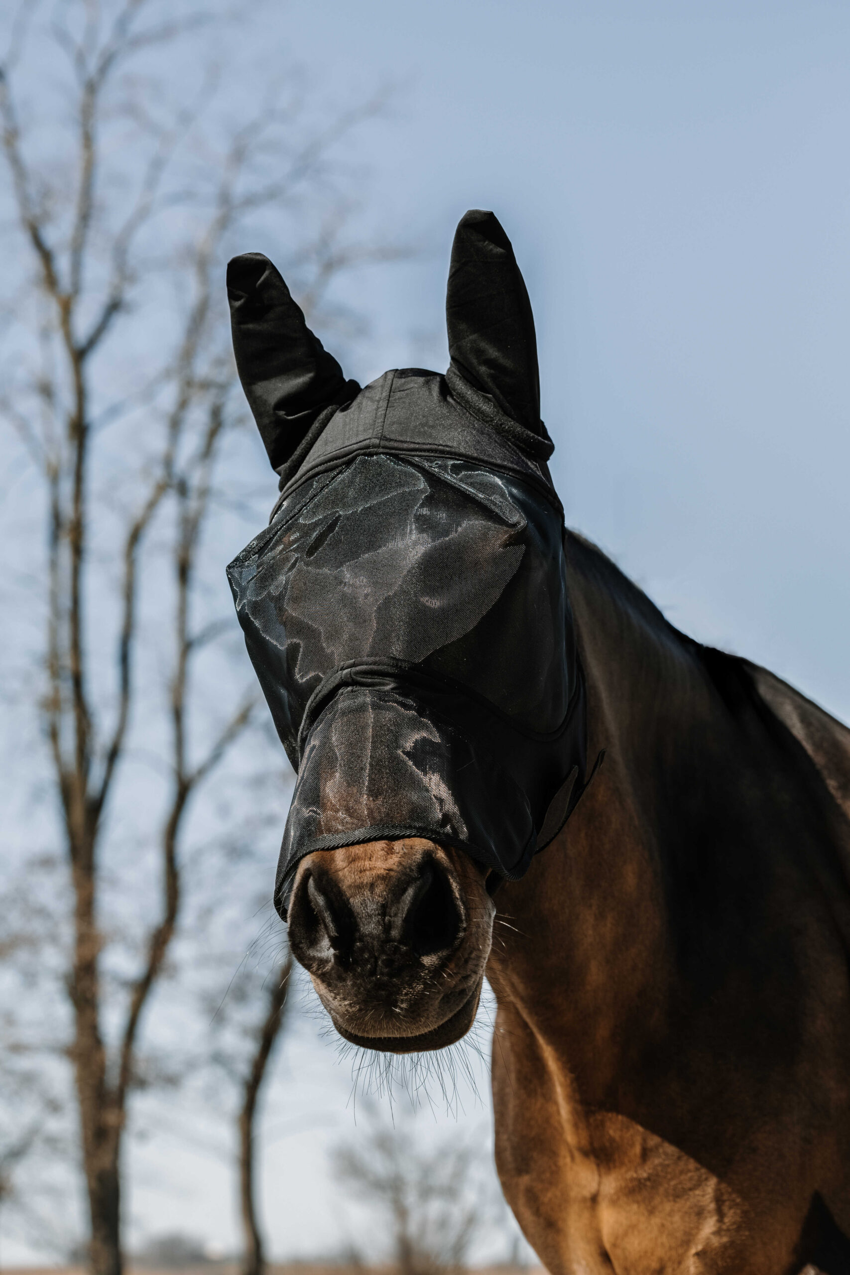 EQUITHÈME - Soft - Fly/UV mask + nose