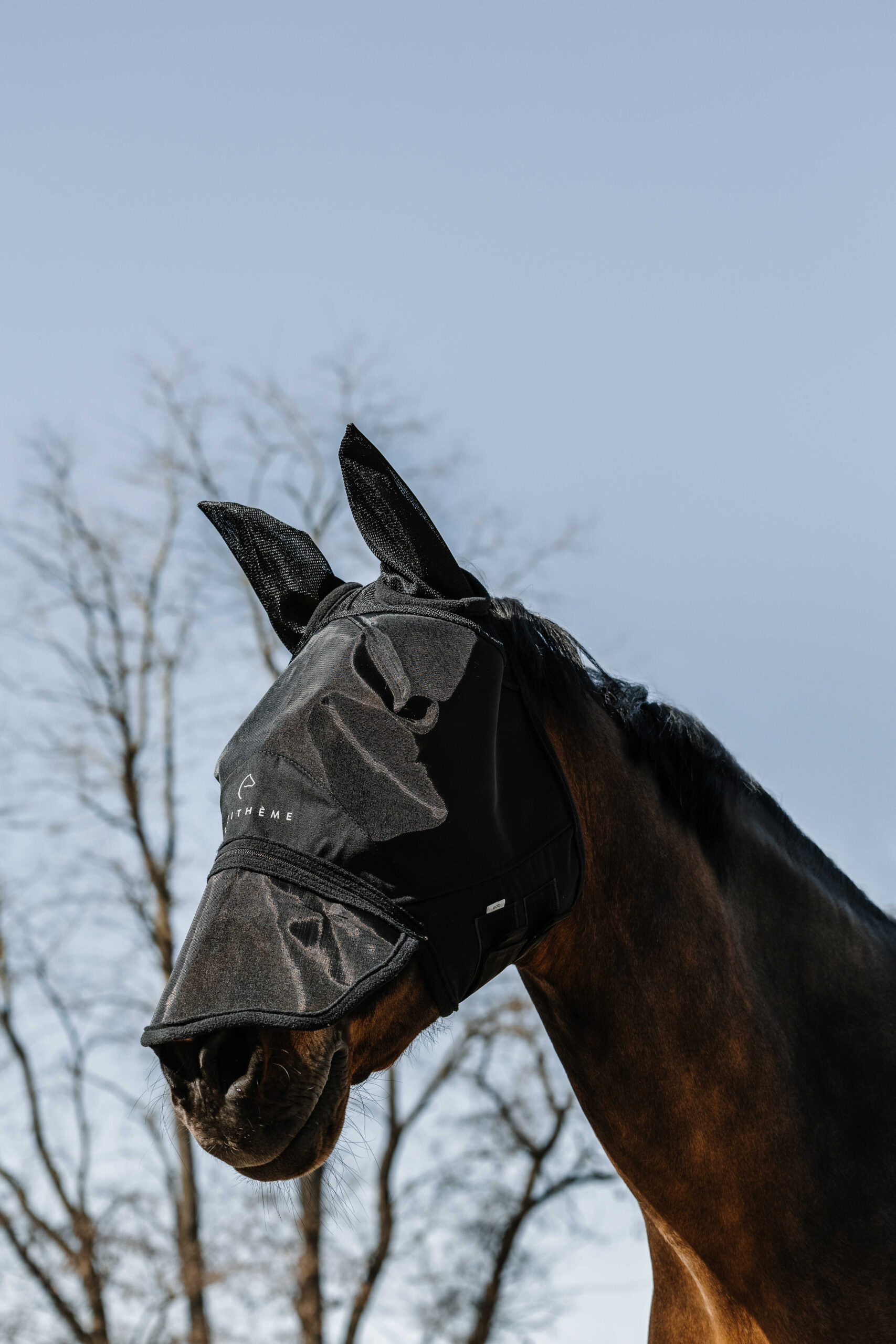 EQUITHÈME - Zipper - Fly/UV Mask