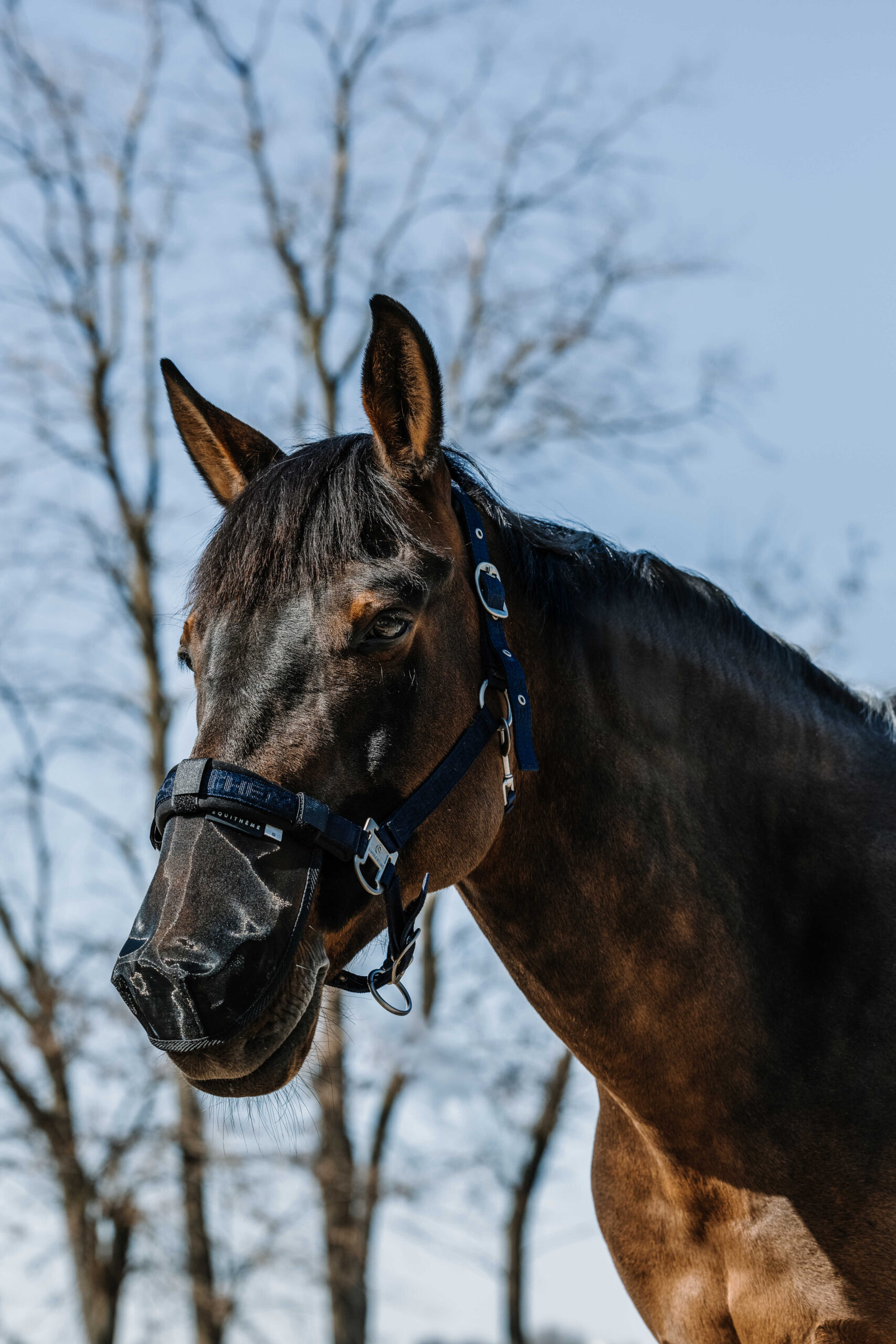 EQUITHÈME UV protection for the nose