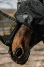 PRO SERIES Fly Mask with UV Protection - Extra - Image 2