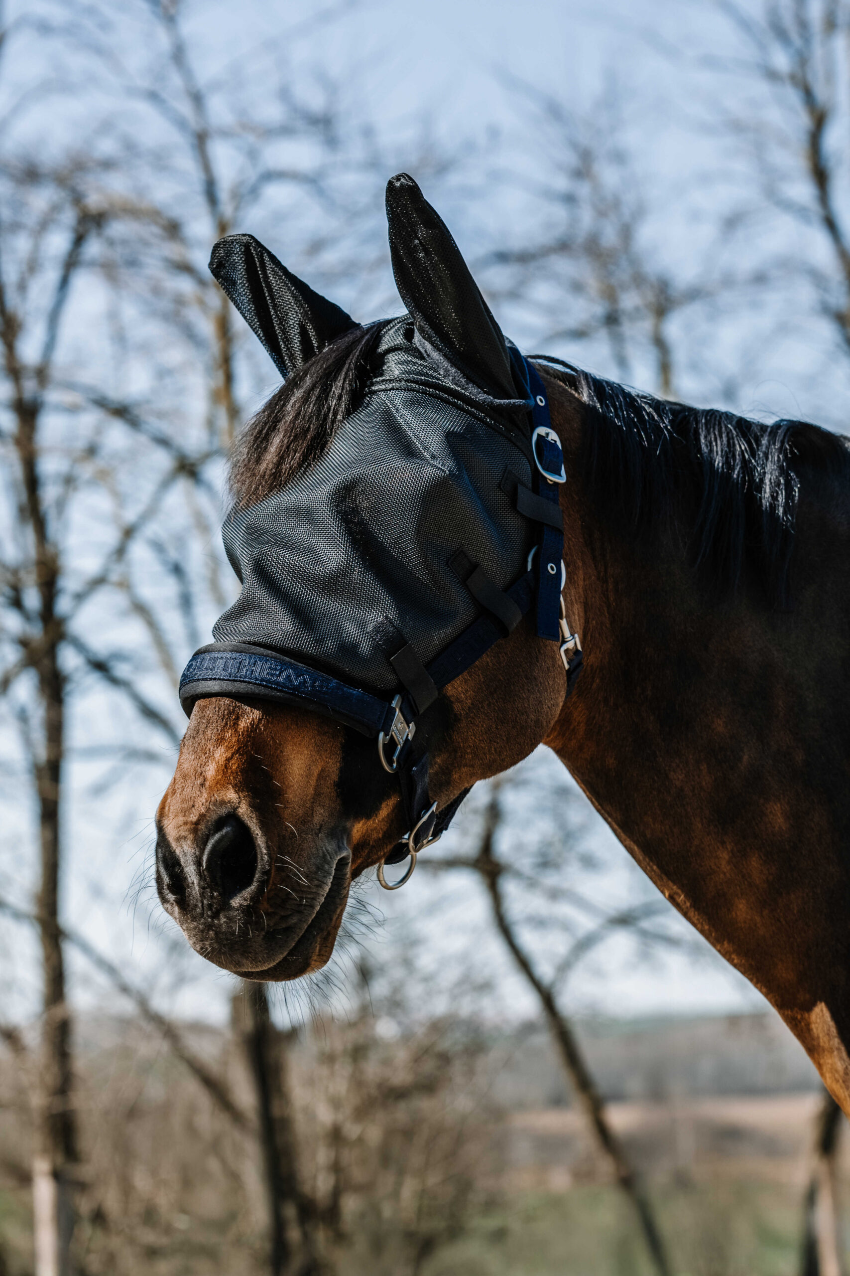 EQUITHÈME - Halter - Fly/UV Mask