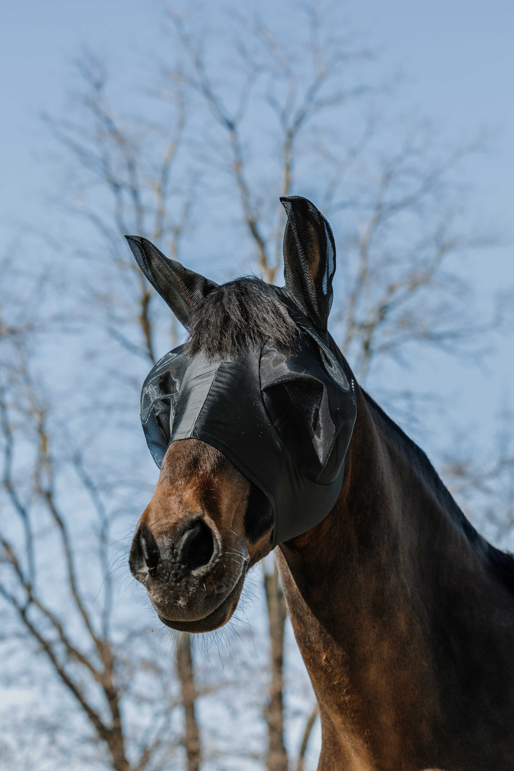 EQUITHÈME - Lycra - Fly/UV Mask