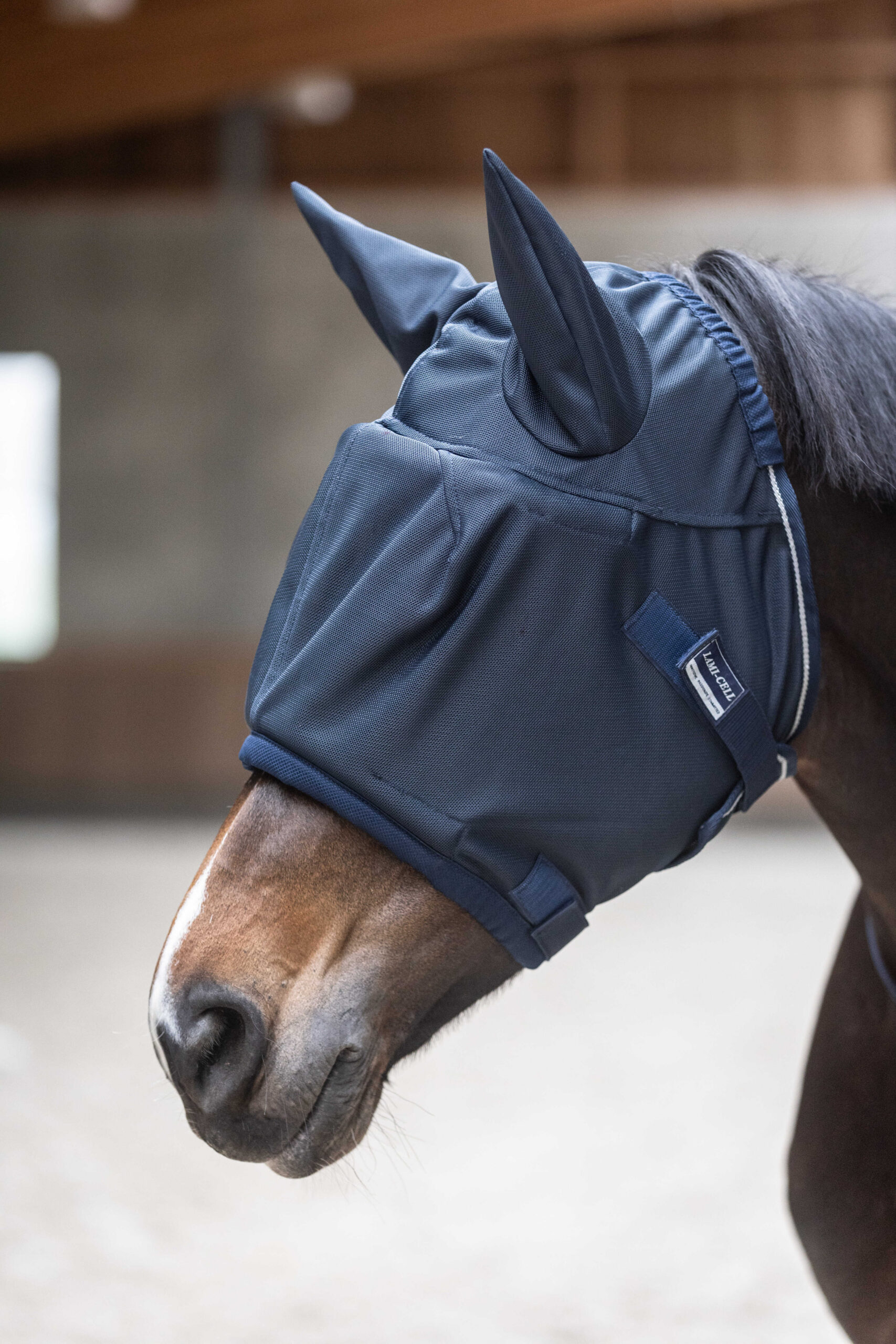 306042207_ambi_1 LAMI-CELL Fly Mask - Master - Image 1