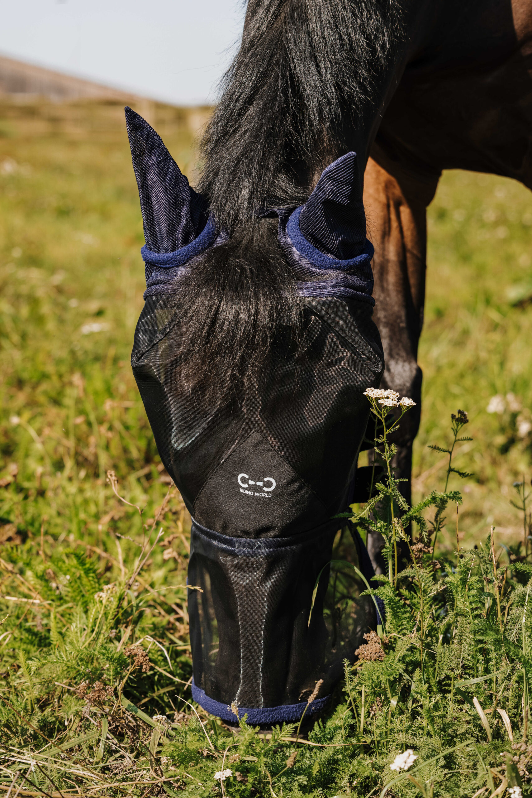 RIDING WORLD Fly Mask - First