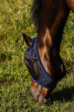 RIDING WORLD Fly Mask - First - Without Ears - Image 2