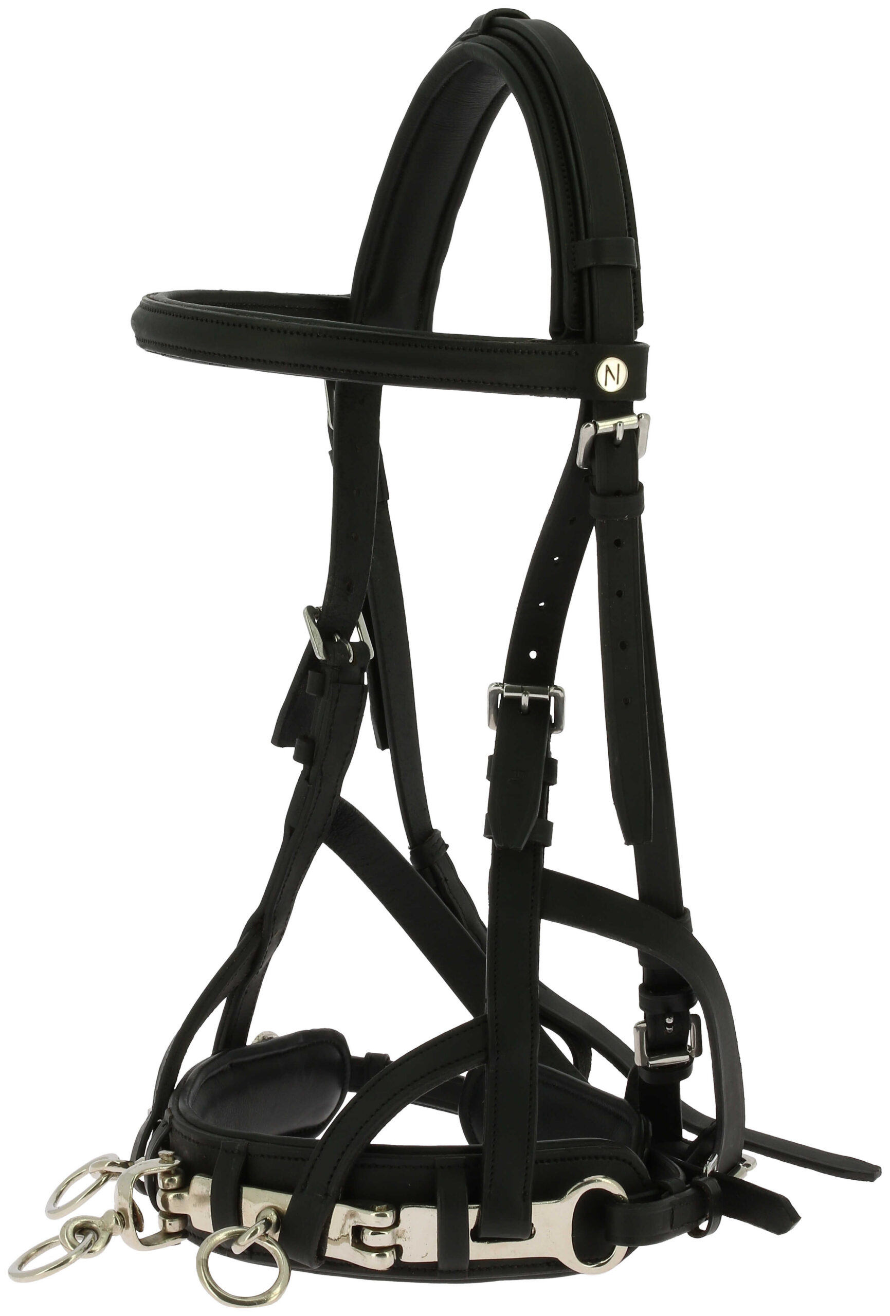 NORTON working cavesson