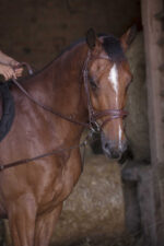 NORTON PRO short elastic side reins with pulleys - Image 3