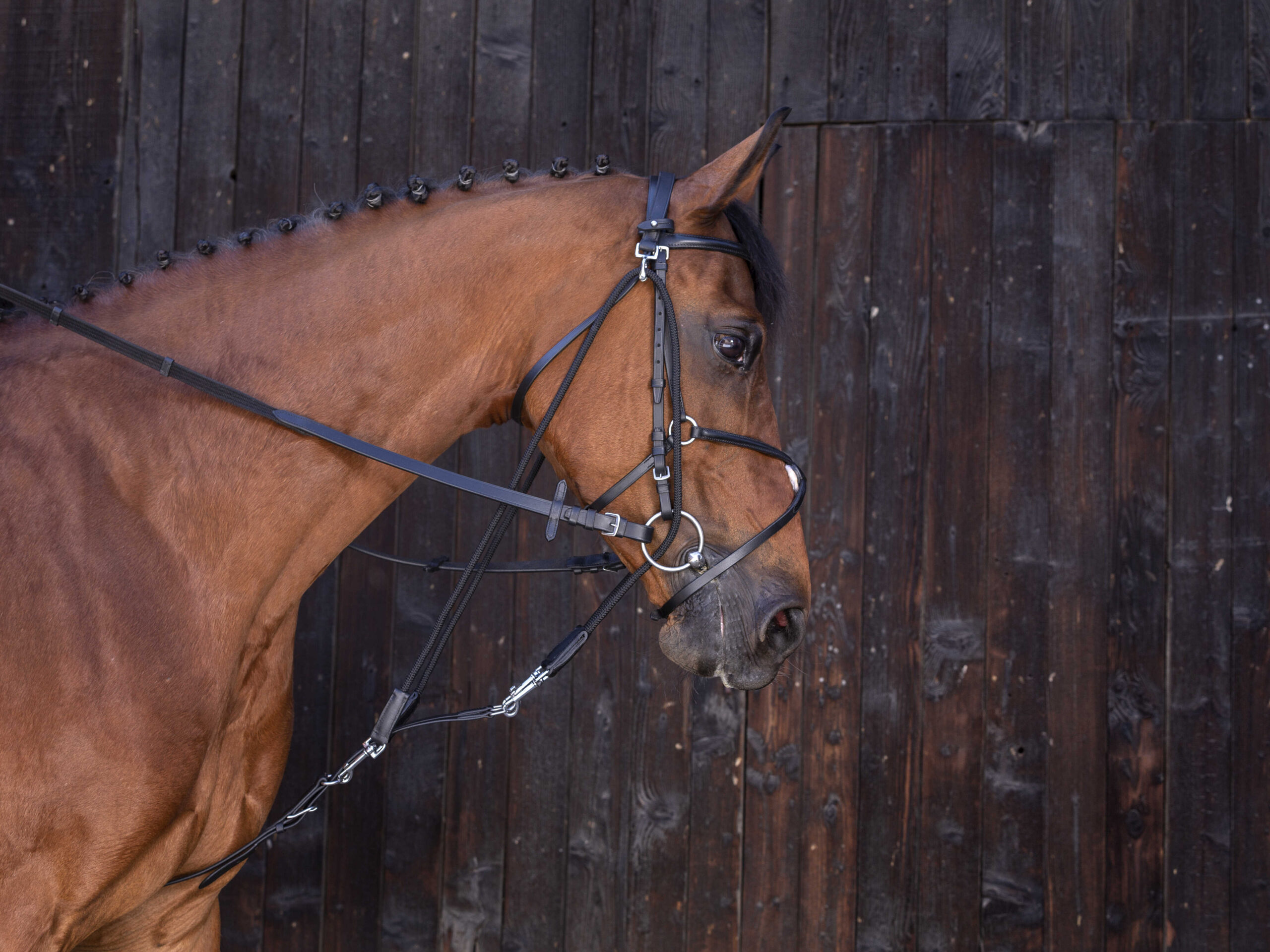 RIDING WORLD Gogue with pulleys
