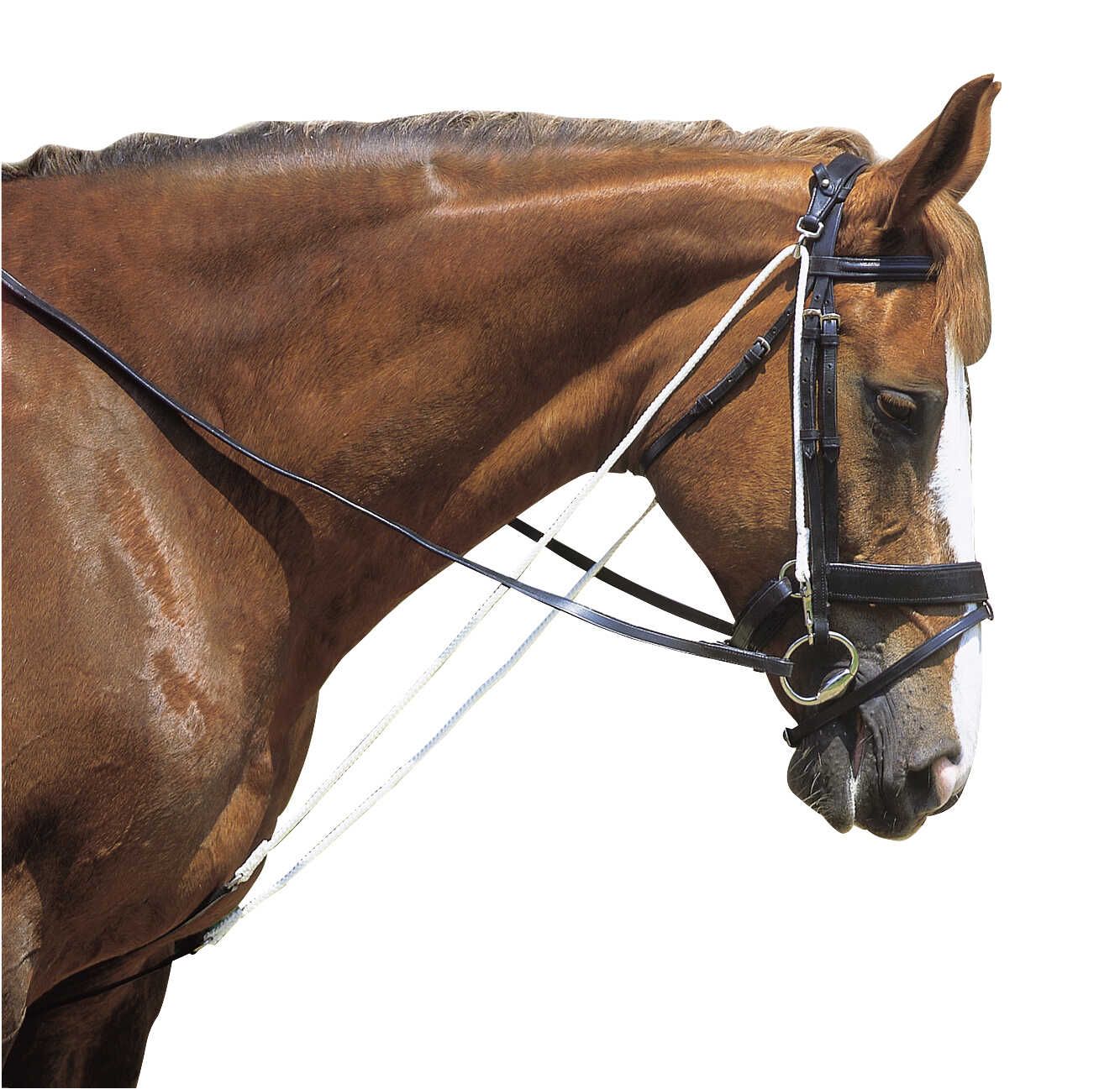 NORTON CLUB Chambon with pulleys