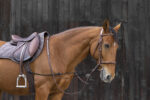 Side reins elastic NORTON adjustable