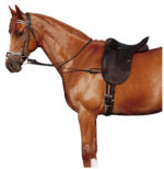 Side reins elastic NORTON adjustable - Image 3