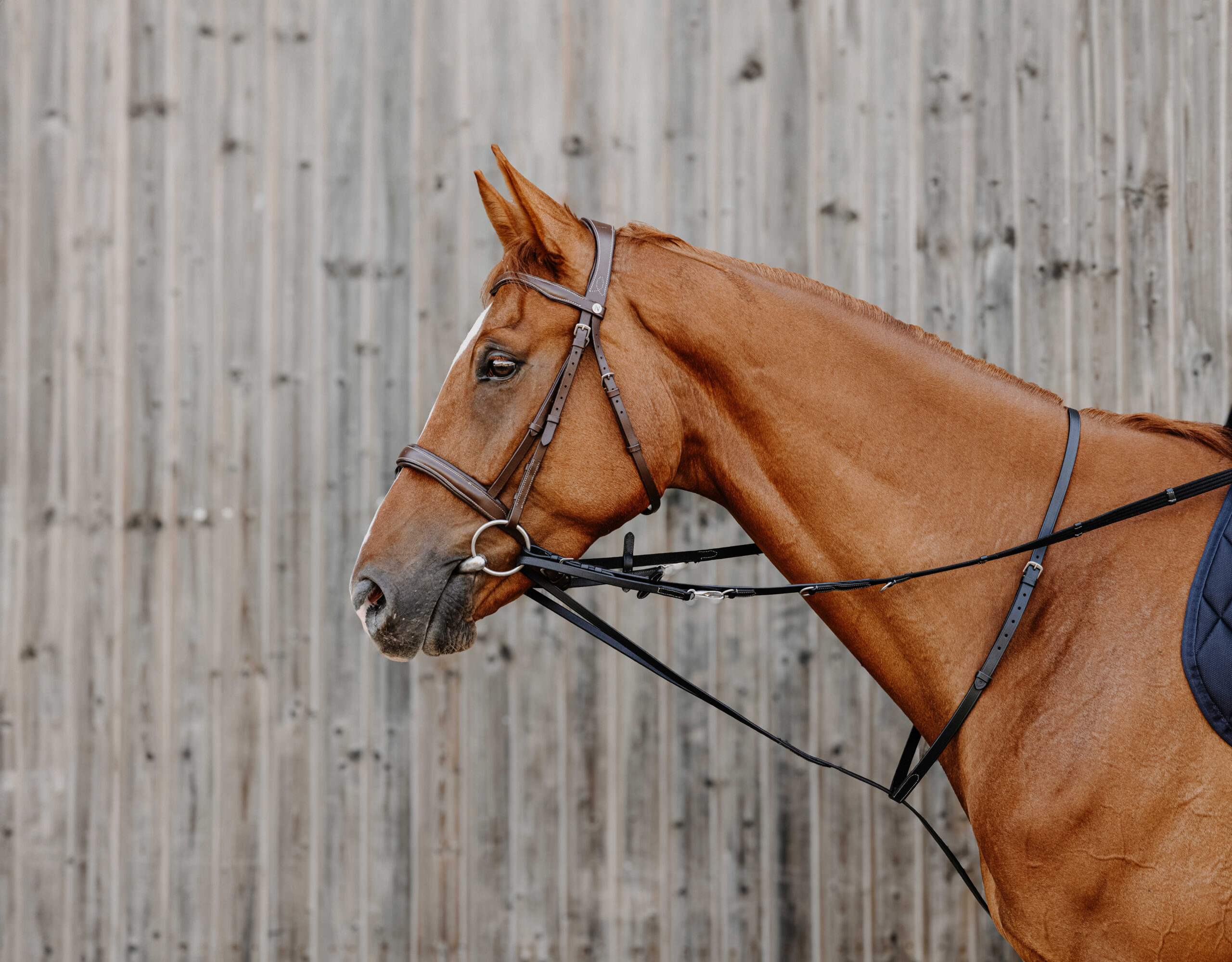 NORTON PRO - Thiedeman reins