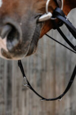 NORTON PRO - Thiedeman reins - Image 2