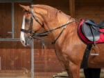 NORTON PRO - Thiedeman reins - Image 7