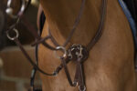 NORTON PRO Breastplate - Comfort - Image 2