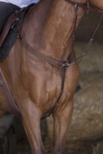 NORTON PRO elastic breastplate - Image 3