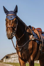 NORTON - 5 points - Breastplate - Image 2