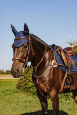 NORTON - 5 points - Breastplate - Image 3