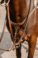 NORTON - 5 points - Breastplate - Image 7