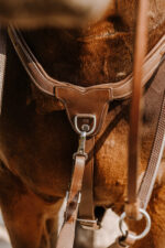 NORTON - 5 points - Breastplate - Image 8