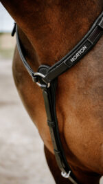 Collier de chasse Endurance NORTON - Pop - Image 2